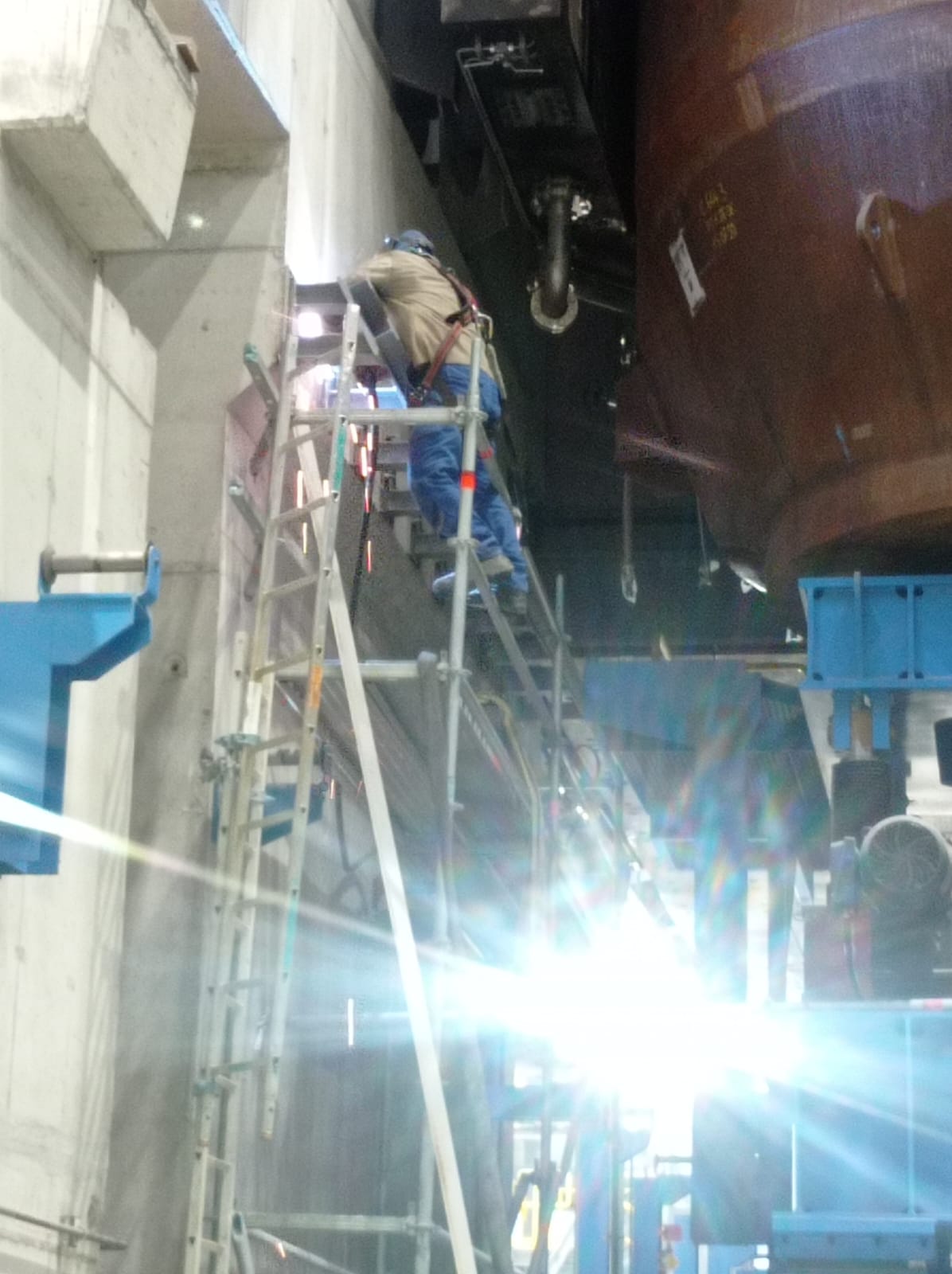 Whatsapp Bild 2024 11 19 Um 09 53 43 3552Fb2e